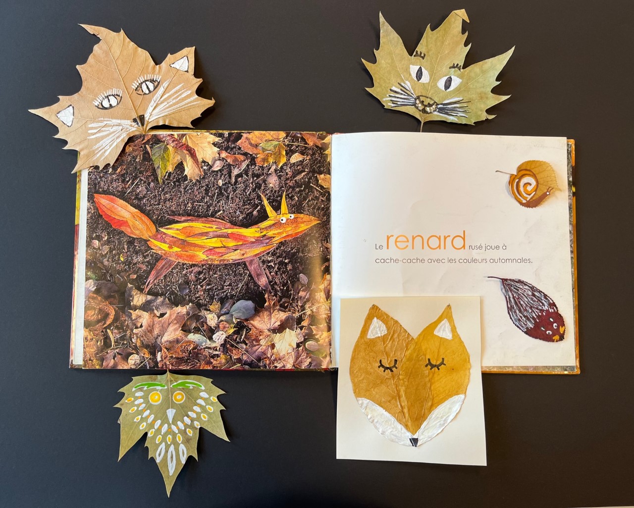 Atelier_animal_végétal-diapo.jpg